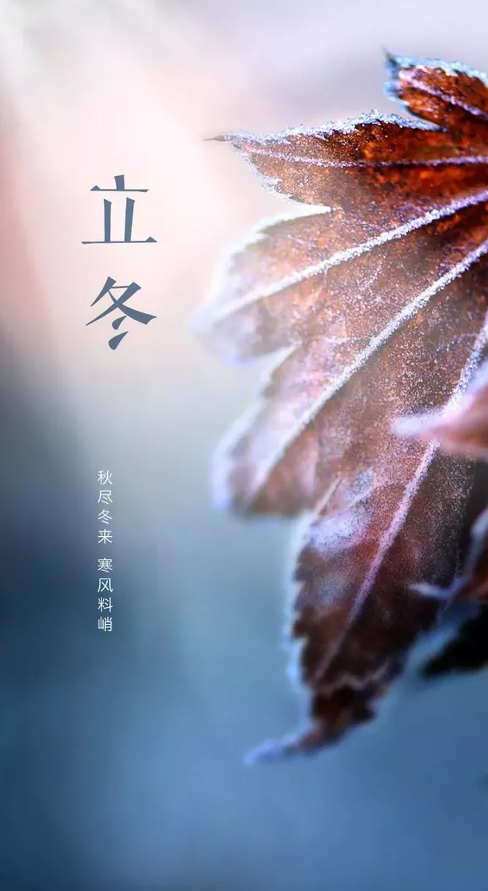 立冬绝美佳句(图1)