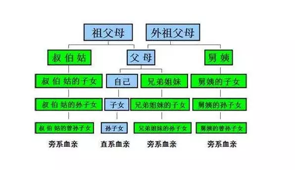 直系亲属包括哪些_直系亲属的定义(图4)
