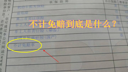 不计免赔险是什么意思(图5)