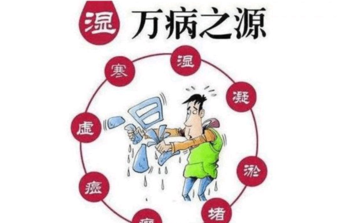 湿气重的人怎么排湿喝什么茶_除湿气喝什么茶最好(图6)