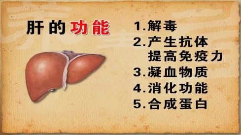 吃什么食物养肝(图1)
