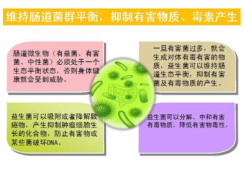 六种人不宜吃益生菌(图2)