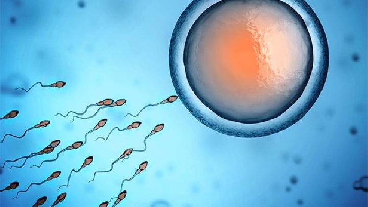 精子活力低是肾虚导致吗(图1)