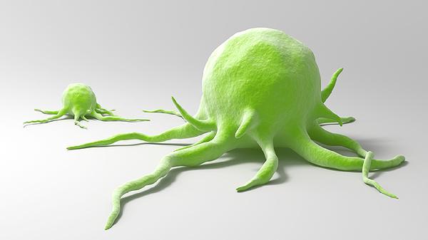 黑色素细胞修复液效果怎么样(图1)