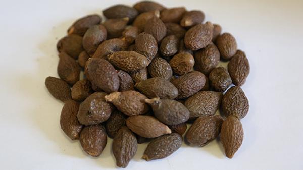 胖大海茶能缓解咽喉不适，但过量饮用或致胃寒，如何正确饮用？(图2)
