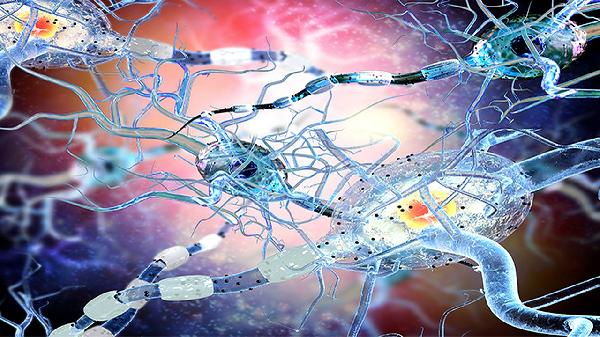 胃部肿瘤全切两年后为什么越来越瘦(图2) 胃部肿瘤全切两年后为什么越来越瘦(图2)