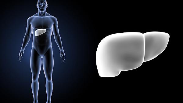 肝门湿疣:如何识别症状并采取有效治疗措施,保护健康从预防开始!(图1) 肝门湿疣:如何识别症状并采取有效治疗措施,保护健康从预防开始!(图1)