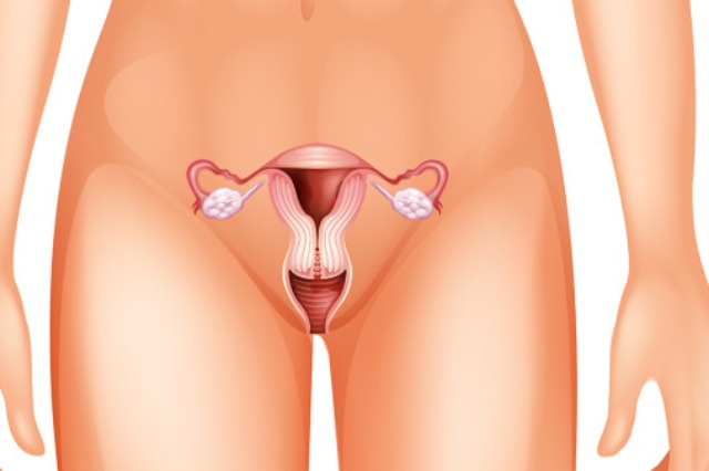 性病会影响生育健康吗？常见性病对生育系统有哪些危害？(图1)