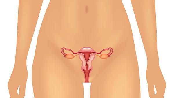 一个人可以打几次hpv(图1)