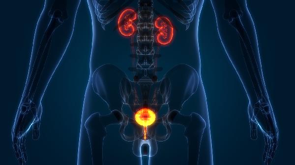 经常血精是怎么回事(图1) 经常血精是怎么回事(图1)