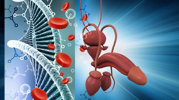 男性出现血精的原因(图1) 男性出现血精的原因(图1)