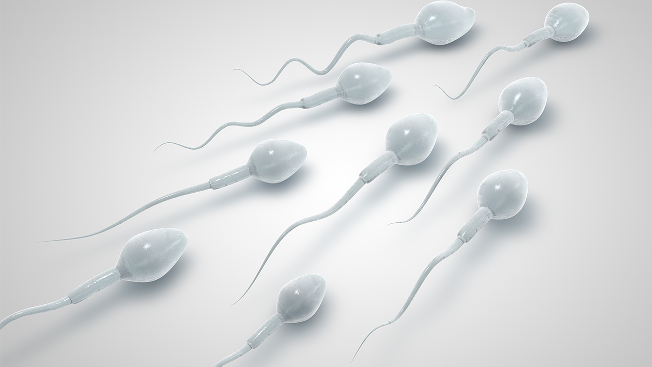 免疫性不育应如何预防 戒烟酒有助于男性远离不育(图1)