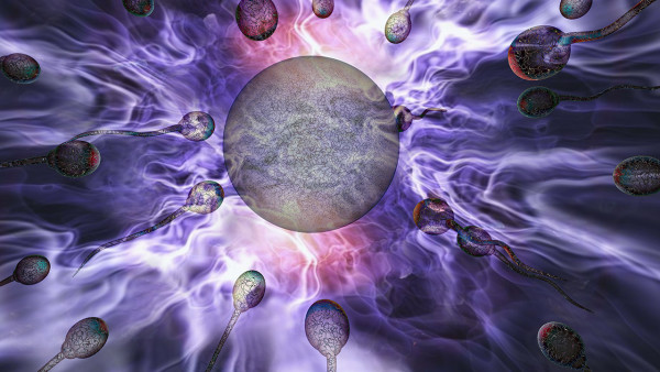 精子真的有限吗？如何提高精子质量和数量？(图1)