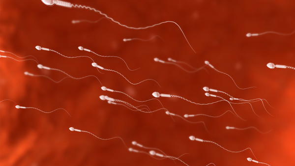 男性吃南瓜子可提高精子质量(图1) 男性吃南瓜子可提高精子质量(图1)