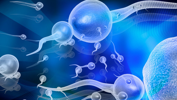 性生活过多会导致不孕吗?其实是免疫性不育!(图1) 性生活过多会导致不孕吗?其实是免疫性不育!(图1)