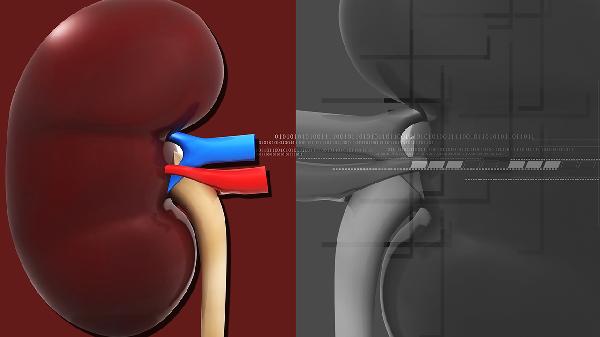 尿频尿不尽怎么回事(图2) 尿频尿不尽怎么回事(图2)