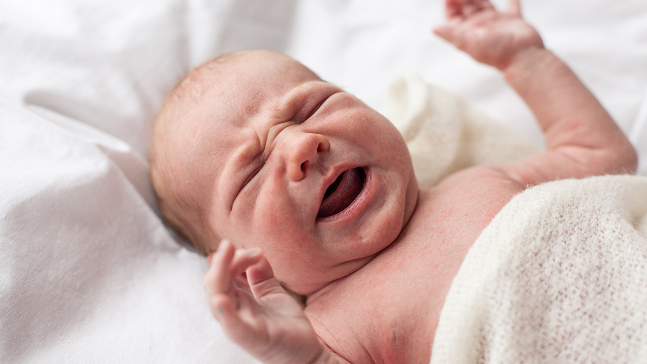 新生儿黄疸还可以吃母乳吗?新生儿黄疸会持续多长时间?(图2) 新生儿黄疸还可以吃母乳吗?新生儿黄疸会持续多长时间?(图2)