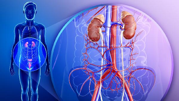 输尿管梗阻的5大症状解析：腰痛、尿频、血尿、高热，你中招了吗？(图2)