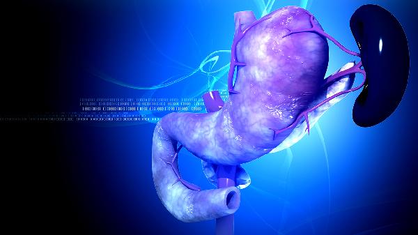 脾大怎么回事呢?怎么治疗呢(图2) 脾大怎么回事呢?怎么治疗呢(图2)