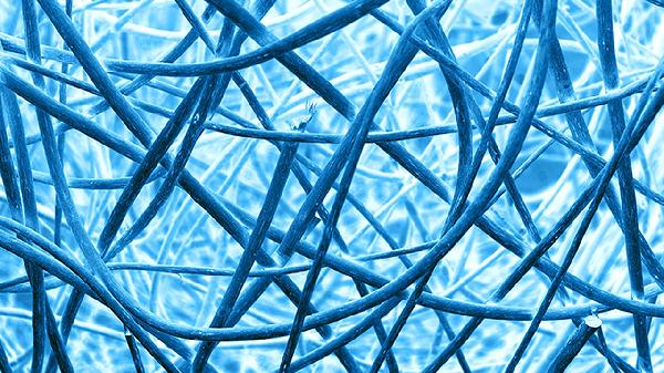 血管迷走神经性晕厥怎么回事(图2)