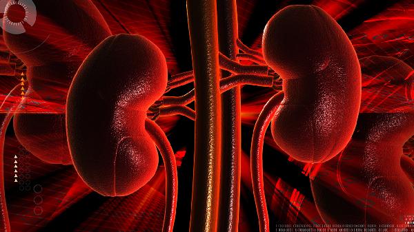 肾结核在几年内肾坏死(图1) 肾结核在几年内肾坏死(图1)