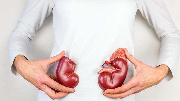 肾怎么补食疗方法怎么样(图2)