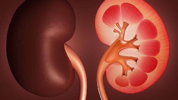 肾囊性暗区是什么意思(图1) 肾囊性暗区是什么意思(图1)