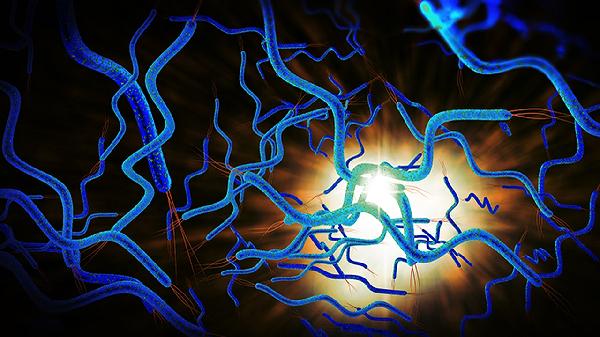 鼻腔分泌物没有嗜酸粒细胞(图2) 鼻腔分泌物没有嗜酸粒细胞(图2)