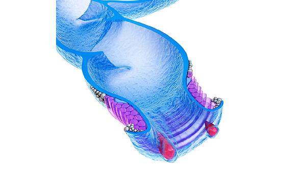 被蚂蚁咬嗜酸性粒细胞百分(图2) 被蚂蚁咬嗜酸性粒细胞百分(图2)