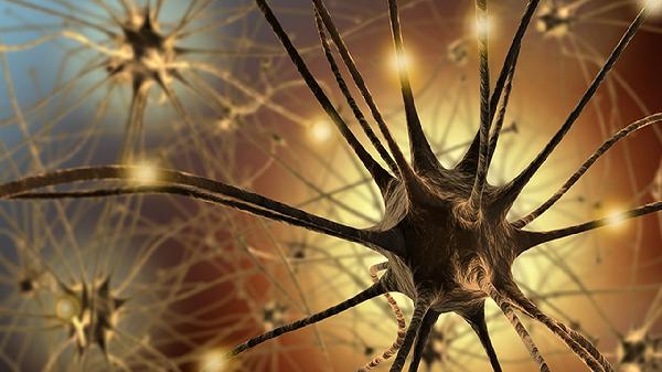 白血球低嗜酸性粒细胞低(图1) 白血球低嗜酸性粒细胞低(图1)