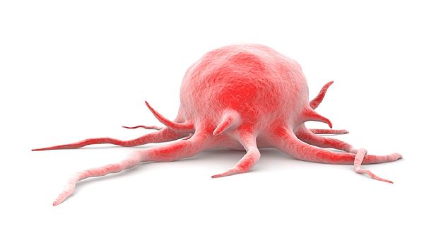 白血球低嗜酸性粒细胞低(图2) 白血球低嗜酸性粒细胞低(图2)