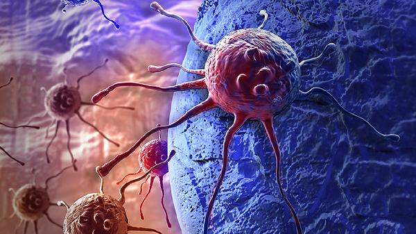 被蚊虫叮咬嗜酸性粒细胞(图1)