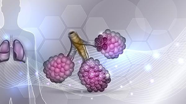白血球和中性粒细胞都高(图1)