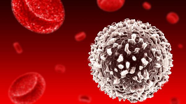 怎么判断白细胞低还是高(图2) 怎么判断白细胞低还是高(图2)