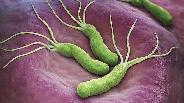 全血细胞减少能治好吗(图2) 全血细胞减少能治好吗(图2)