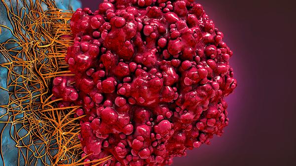 全血细胞减少能治好吗(图1) 全血细胞减少能治好吗(图1)