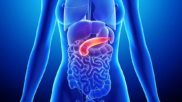 肝硬度高的原因及改善方法(图1) 肝硬度高的原因及改善方法(图1)