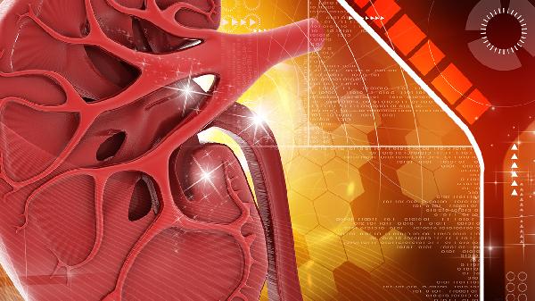 双侧肾脏位置正常包膜光滑形太正常(图1) 双侧肾脏位置正常包膜光滑形太正常(图1)