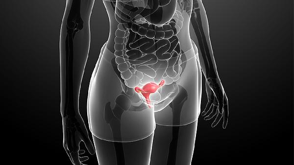 应该多久做一次hpv(图2)