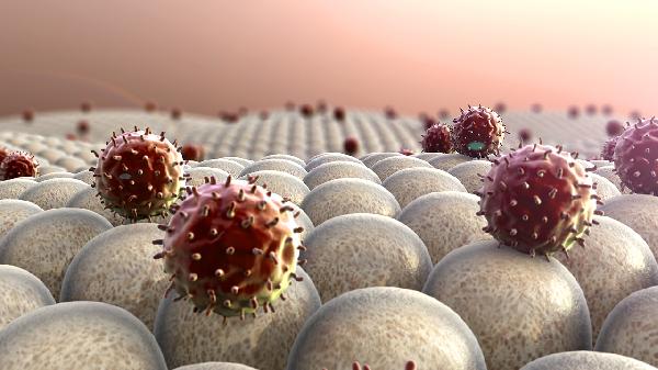 怎样做能增加白细胞数(图2) 怎样做能增加白细胞数(图2)