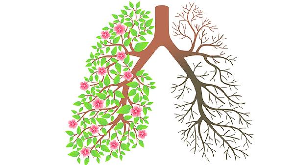 有时候感觉不想呼吸了(图2)