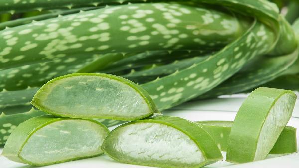 肛周炎可以用芦荟胶吗(图1)