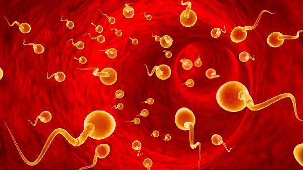 精子活力率低精子畸形(图1)