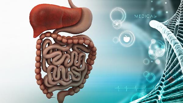 大便先粗后细怎么回事(图2) 大便先粗后细怎么回事(图2)