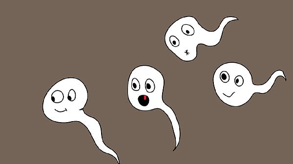 精子活跃正常畸形率高(图2)