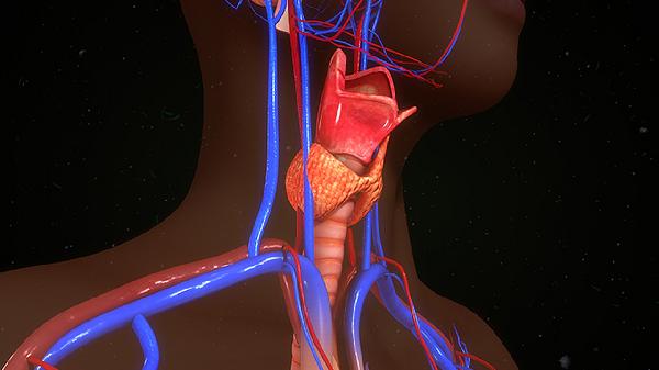 病毒感冒发热出汗嫌热(图1)