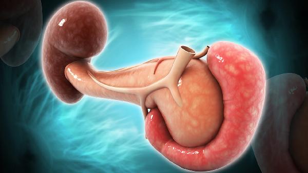 生理性脾大是怎么回事(图2) 生理性脾大是怎么回事(图2)