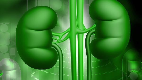 肾损伤需要做什么检查确诊(图1) 肾损伤需要做什么检查确诊(图1)