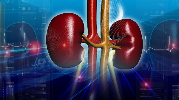 肾损伤需要做什么检查确诊(图2) 肾损伤需要做什么检查确诊(图2)