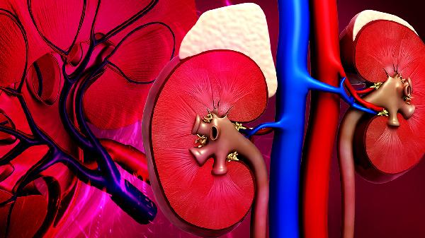 肾上腺增生怎么治疗手术能冶好吗(图2) 肾上腺增生怎么治疗手术能冶好吗(图2)